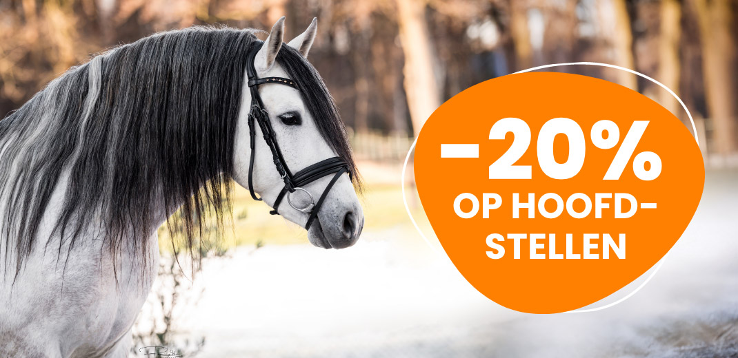 20% hoofdstellen