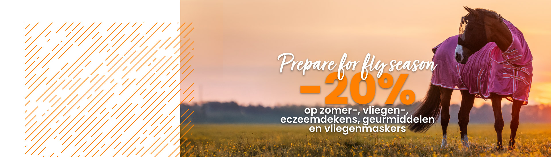 20% vliegenactie