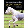 Anatomie Van Het Sportpaard 