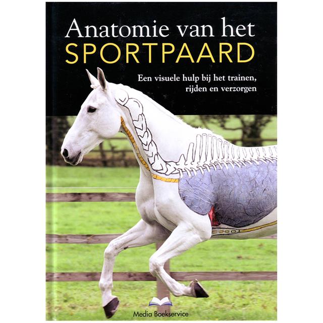 Anatomie Van Het Sportpaard 