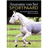Anatomie Van Het Sportpaard 