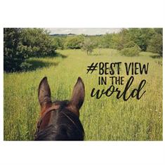 Ansichtkaart Best View  