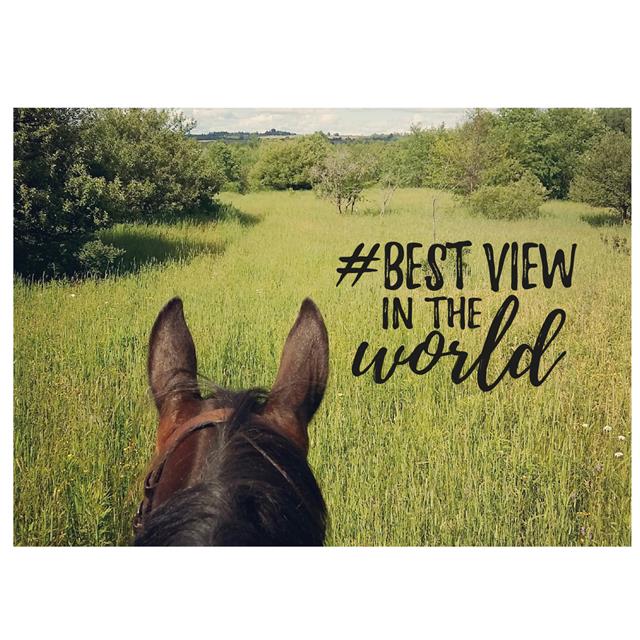 Ansichtkaart Best View  