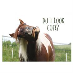 Ansichtkaart Cute  