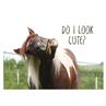 Ansichtkaart Cute  