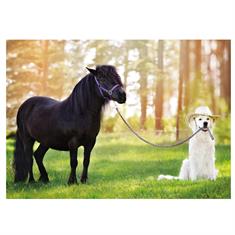 Ansichtkaart Hond  Diverse