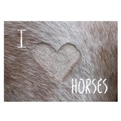 Ansichtkaart I Love Horses  Diverse