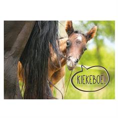 Ansichtkaart Kiekeboe  