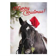 Ansichtkaart Merry Christmas 