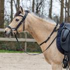 Balance Belt HORSEGEAR Zwart