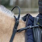 Balance Belt HORSEGEAR Zwart