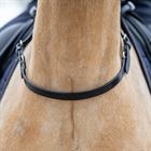 Balance Belt HORSEGEAR Zwart