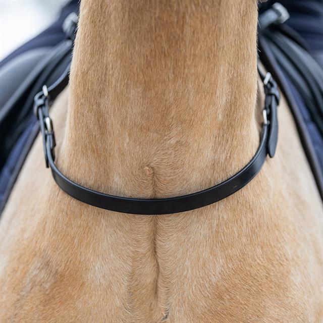 Balance Belt HORSEGEAR Zwart