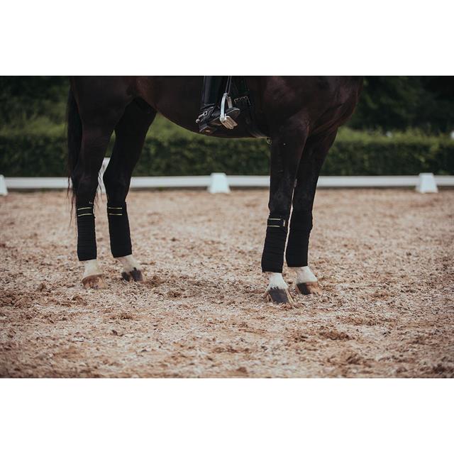 Bandages Equestrian Stockholm Black Gold Zwart-goud
