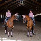 Bandages Equestrian Stockholm Pink Crystal Roze