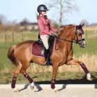 Bandages Horsegear Aurum Donkerrood