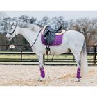 Bandages Horsegear Aurum Paars