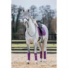 Bandages Horsegear Aurum Paars