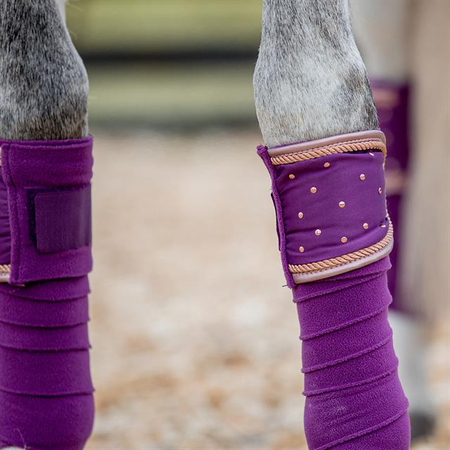 Bandages Horsegear Aurum Paars