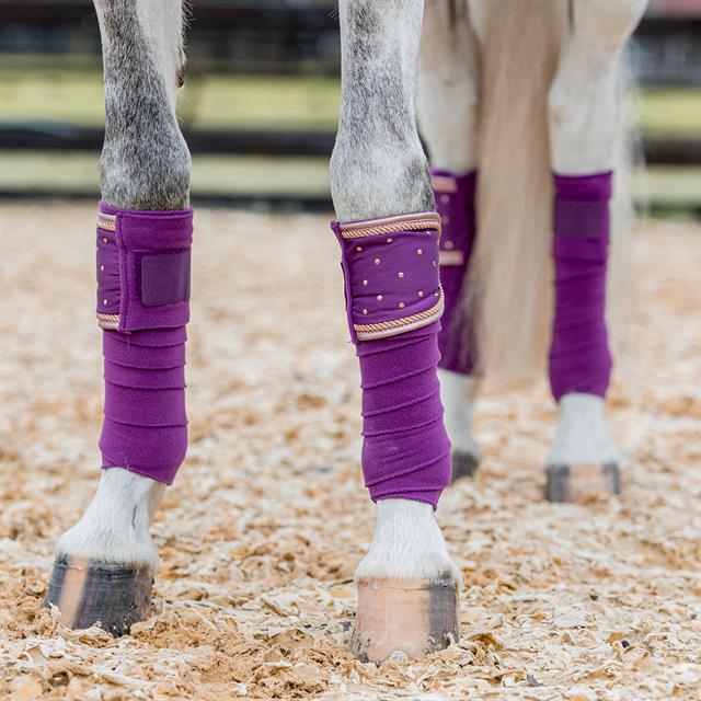 Bandages Horsegear Aurum Paars