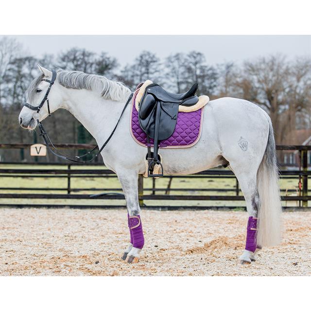 Bandages Horsegear Aurum Paars