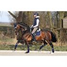 Bandages HORSEGEAR HGAurum Donkerblauw