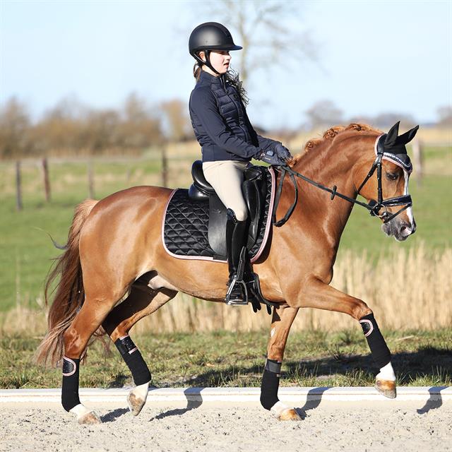 Bandages HORSEGEAR HGAurum Zwart