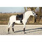 Bandages HORSEGEAR HGRuches 4-pack Donkerbruin