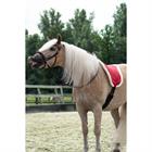 Barebackpad Free Horse FHRaven Donkerrood