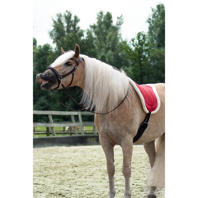 Barebackpad Free Horse FHRaven Donkerrood