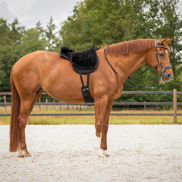 Barebackpad QHP Super Soft Zwart-zwart
