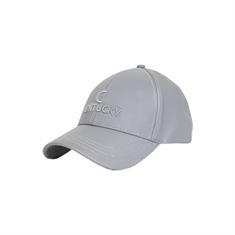 Baseball Cap Kentucky Reflective Grijs
