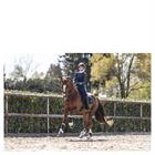 Beenbeschermers ANKY Active Gel Impact ATB22001 Donkerblauw