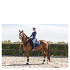 Beenbeschermers ANKY Active Gel Impact ATB22001 Donkerblauw