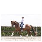 Beenbeschermers ANKY Active Gel Impact ATB22001 Wit