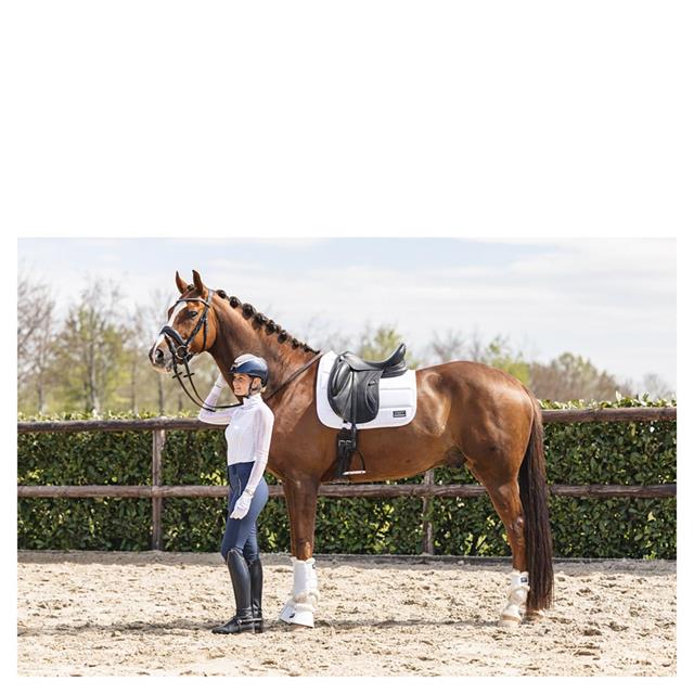 Beenbeschermers ANKY Active Gel Impact ATB22001 Wit