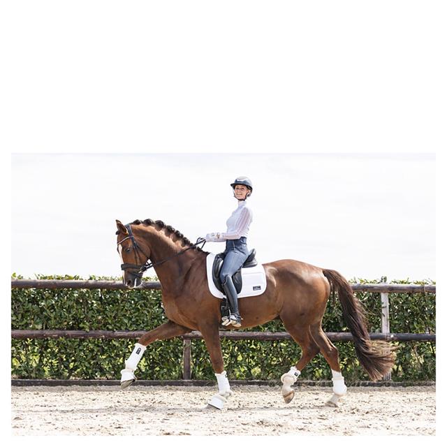 Beenbeschermers ANKY Active Gel Impact ATB22001 Wit