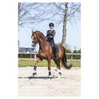 Beenbeschermers ANKY Active Gel Impact ATB22001 Zwart