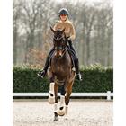 Beenbeschermers ANKY Proficient Jubilee Beige