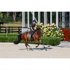 Beenbeschermers Eskadron Classic Sports Softshell Groen