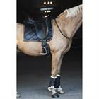Beenbeschermers HORSEGEAR HGLevy Zwart