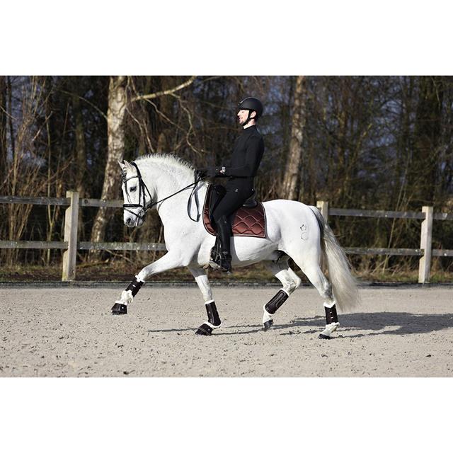 Beenbeschermers HORSEGEAR HGLuksus Bruin