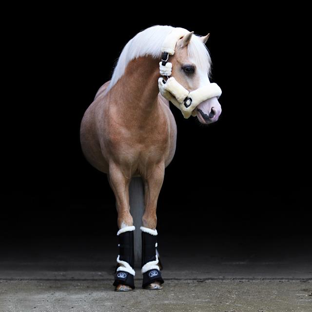 Beenbeschermers Horsegear Liam Zwart