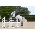 Beenbeschermers Kingsland KLNora Mesh Groen