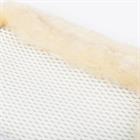 Beenbeschermers LeMieux Fleece Edge Mesh Brushing Wit-beige