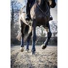 Beenbeschermers LeMieux Ultramesh Snug Boots Hind Donkerblauw