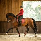 Beenbeschermers N BRANDS X Epplejeck Stacy Rood