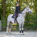 Beenbeschermers QHP Air Mesh Zwart