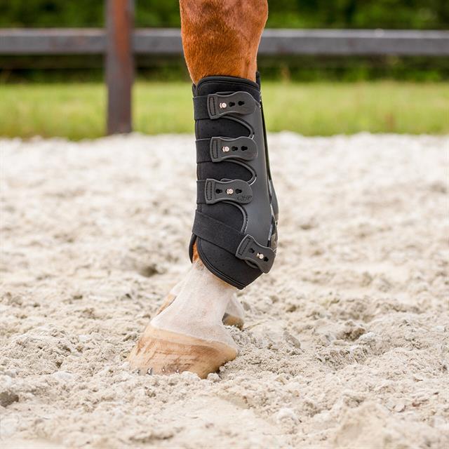 Beenbeschermers QHP Champion Voor Zwart