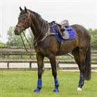 Beenbeschermers QHP Eventing Achter Blauw